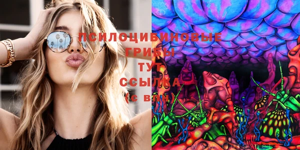 ГАЛЛЮЦИНОГЕННЫЕ ГРИБЫ Абдулино