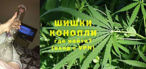 ГАЛЛЮЦИНОГЕННЫЕ ГРИБЫ Абдулино