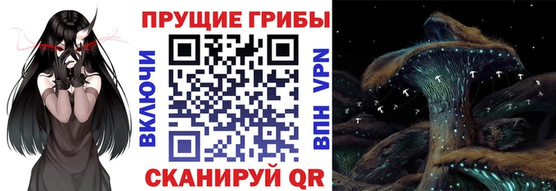 мориарти наркотические препараты  купить наркотик  Мосальск  Галлюциногенные грибы мухоморы 
