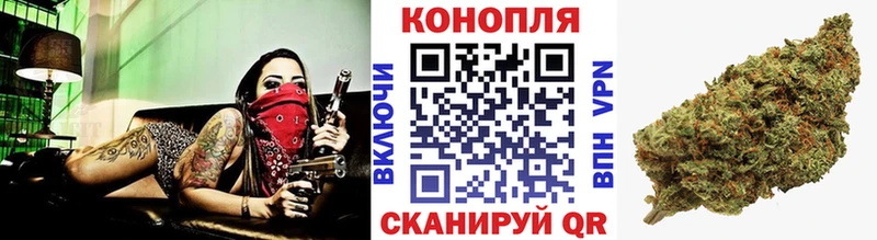 Конопля гибрид Мосальск