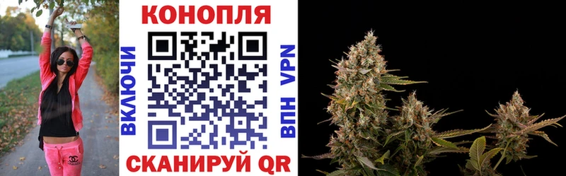 Бошки марихуана AK-47 где можно купить Мосальск